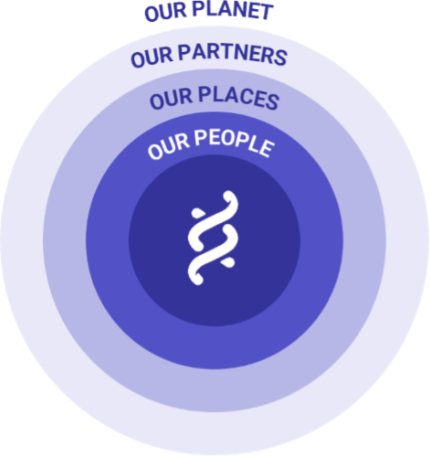 series of purple circles in different tints with words inside of each ring